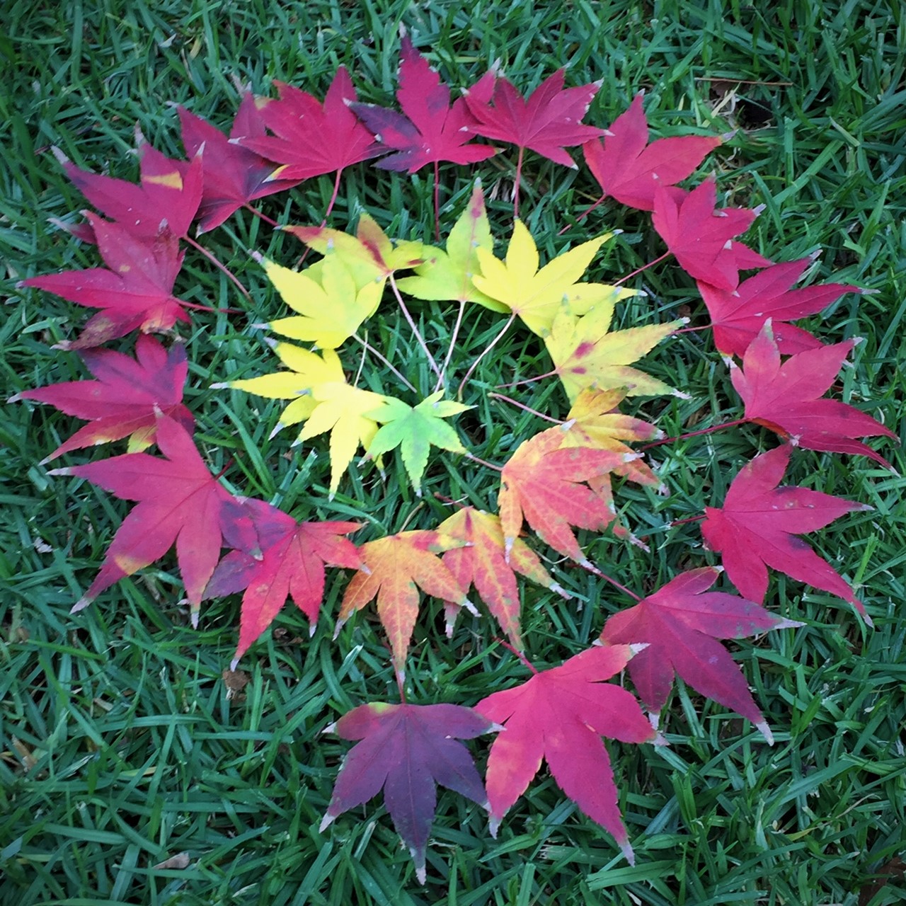 maple-leaf-spiral-land-art-nature-craft