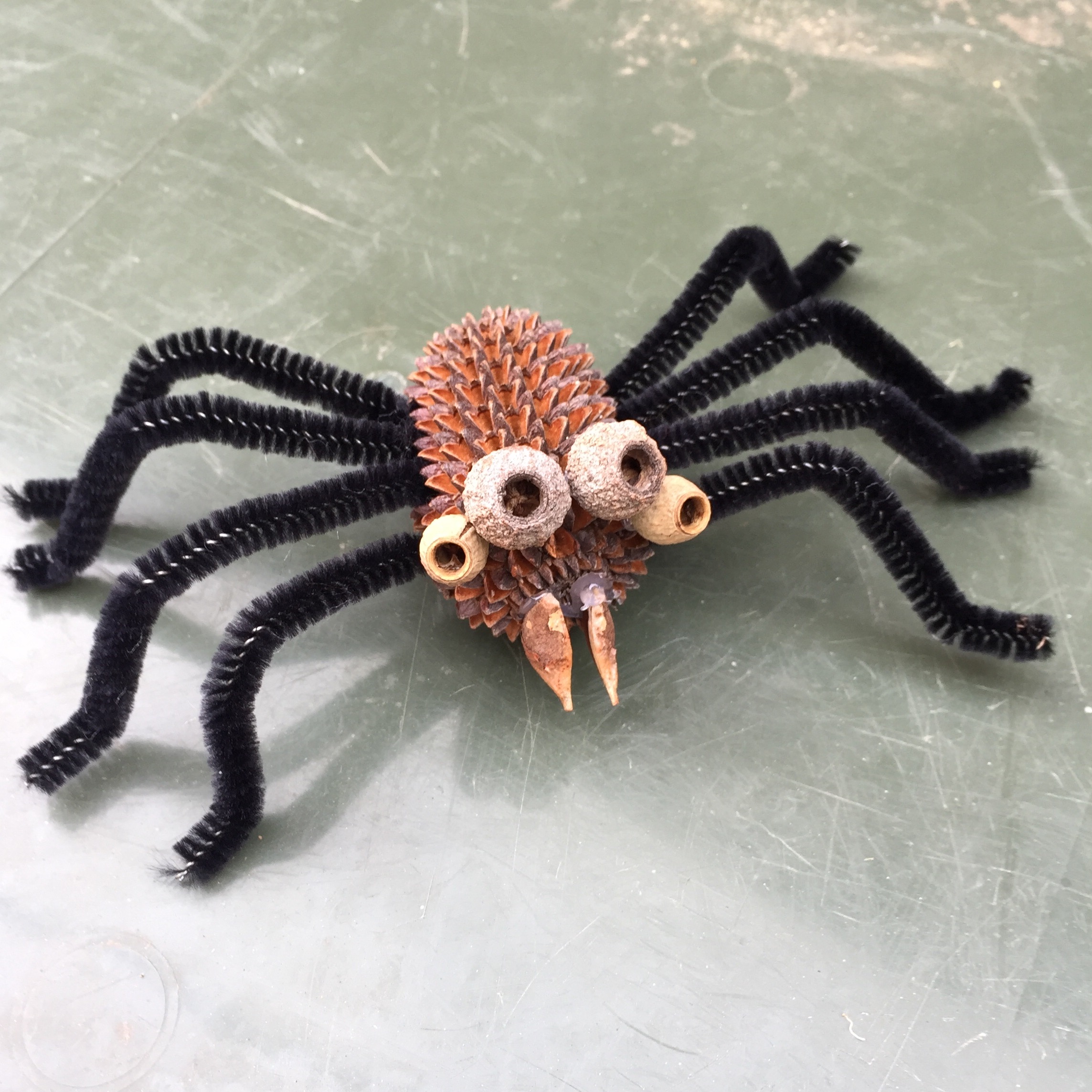 spooky-halloween-spider