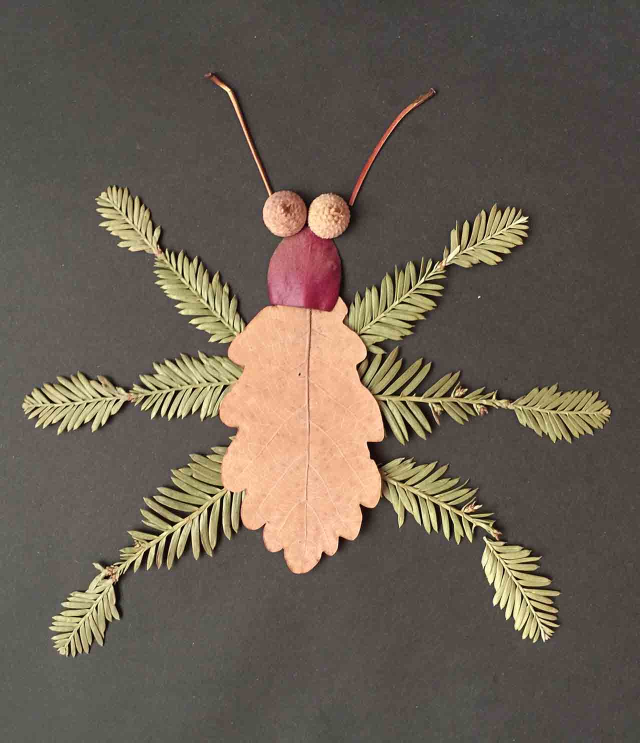 cool-kids-nature-craft-insect