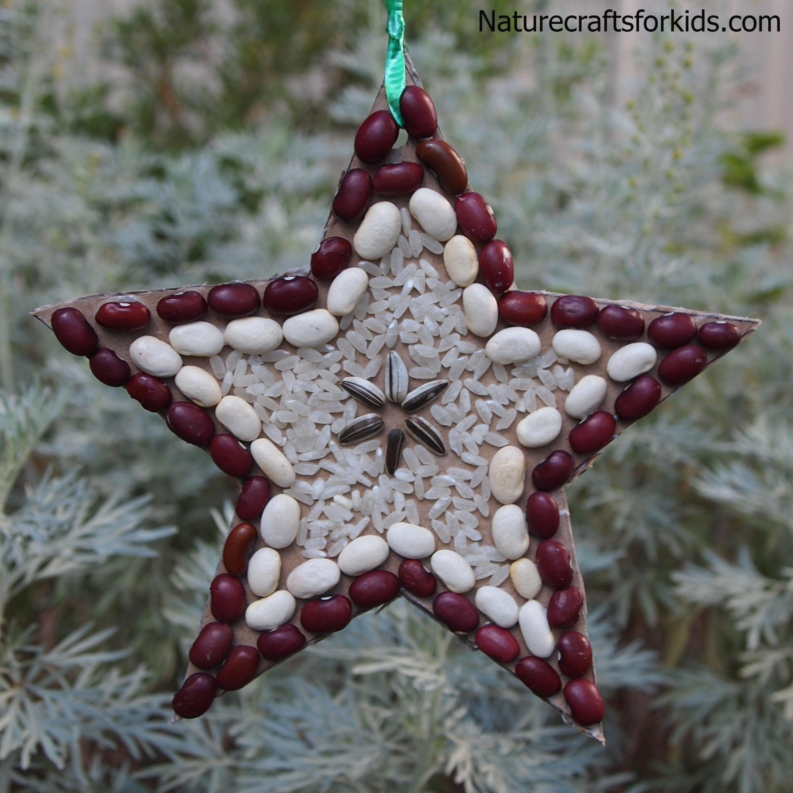 Christmas Nature Craft Seed Collage Star